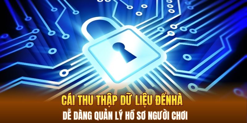 Thu thập dữ liệu để dễ dàng quản lý hồ sơ người chơi